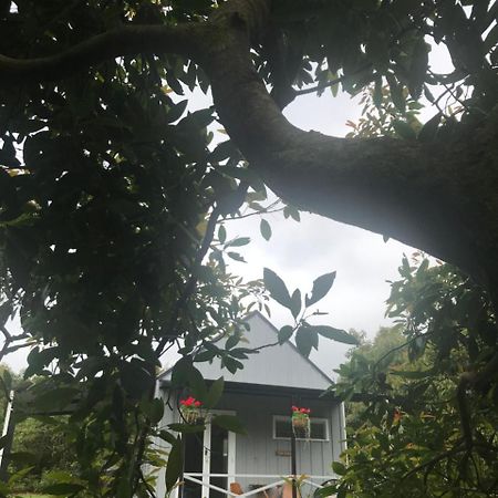 Paradise Grove Whangamata Buitenkant foto