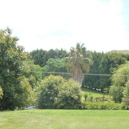 Paradise Grove Whangamata Buitenkant foto