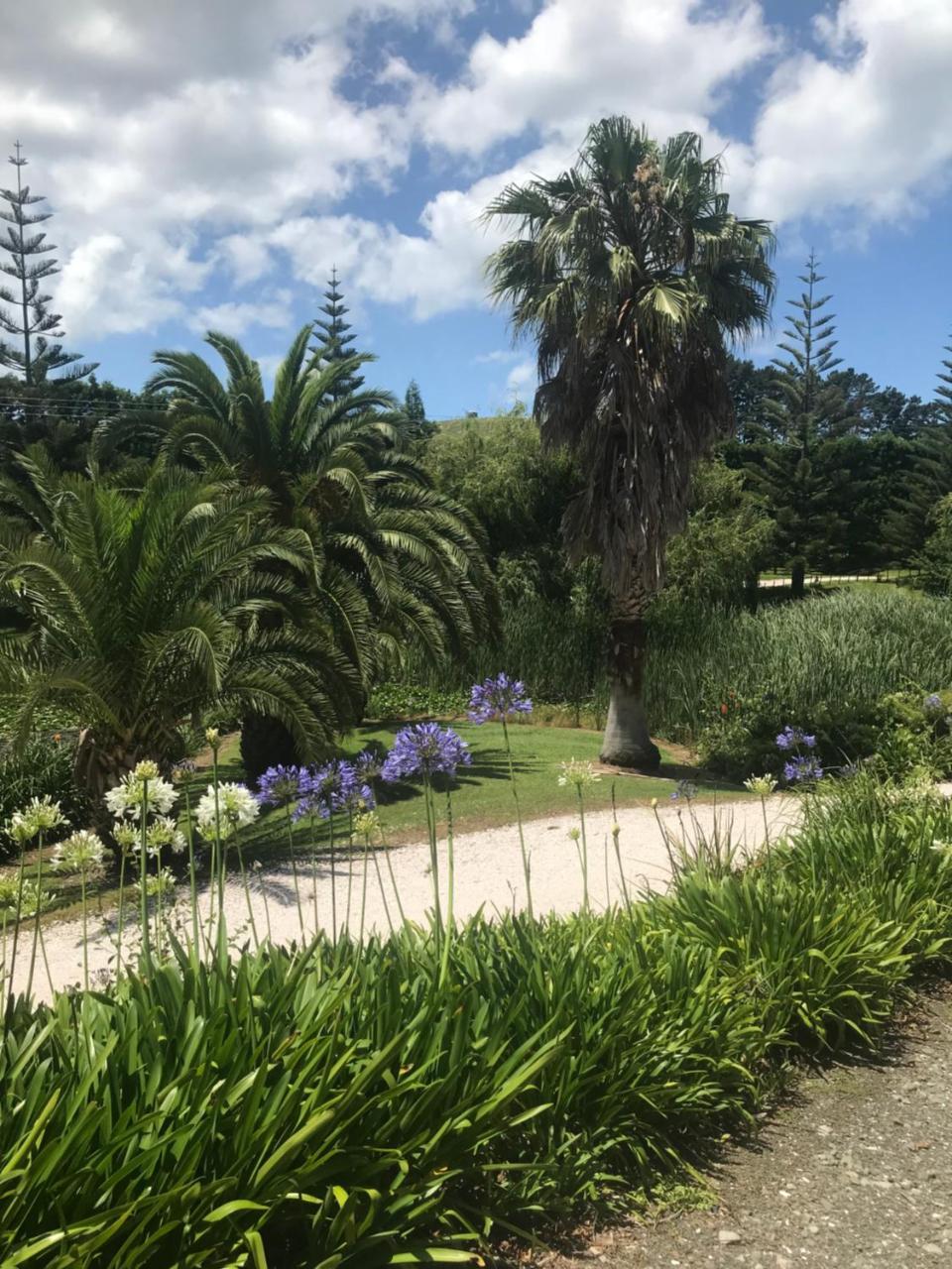 Paradise Grove Whangamata Buitenkant foto