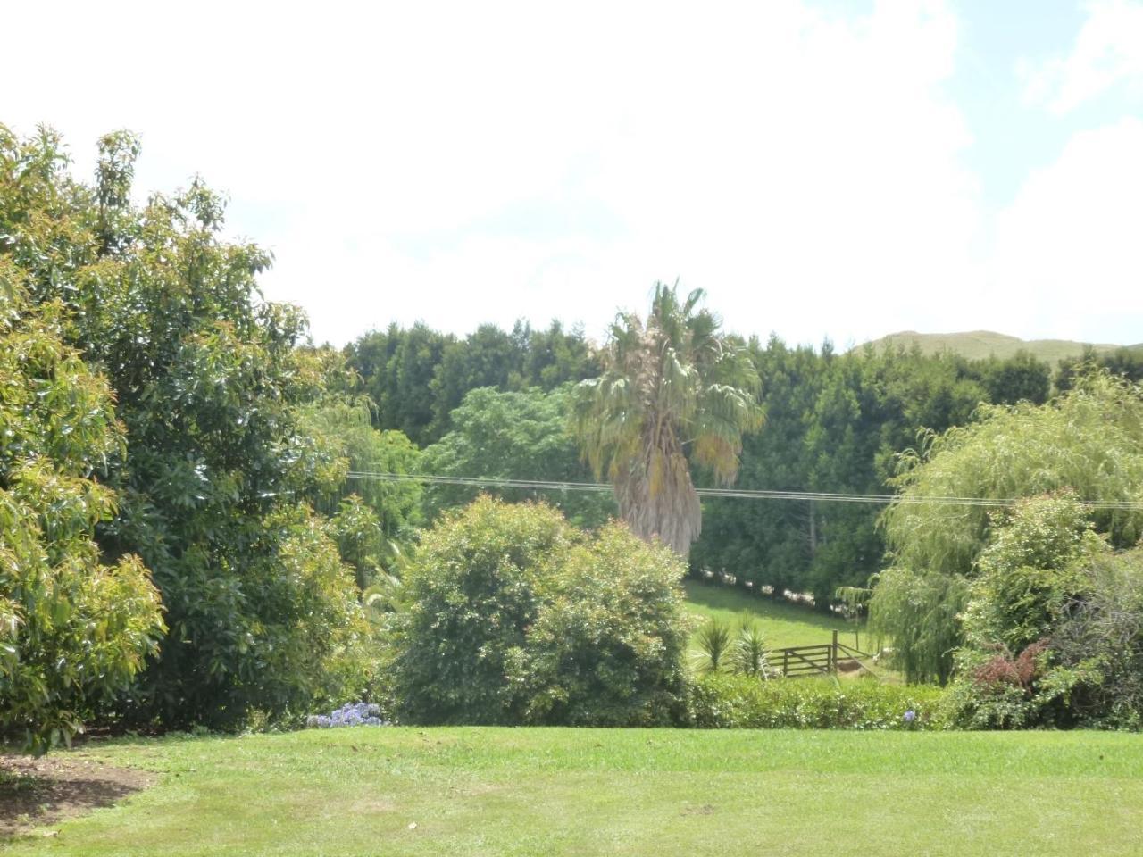 Paradise Grove Whangamata Buitenkant foto